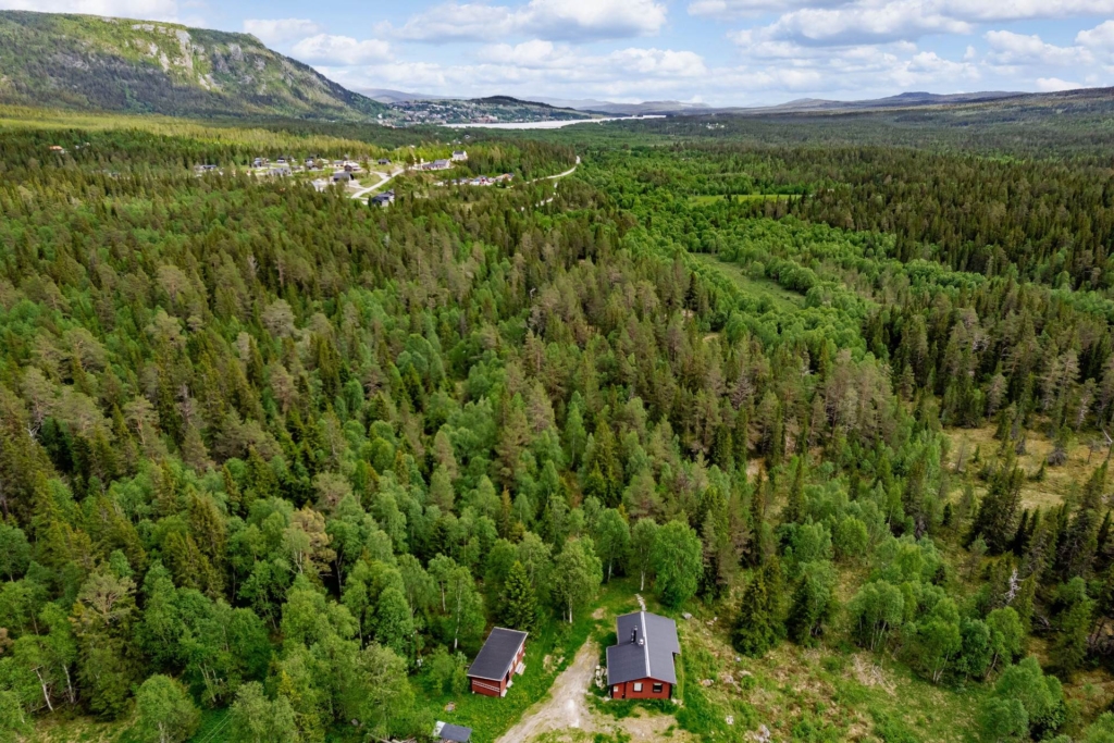Charmigt fjällboende – nära naturen och Funäsdalen
