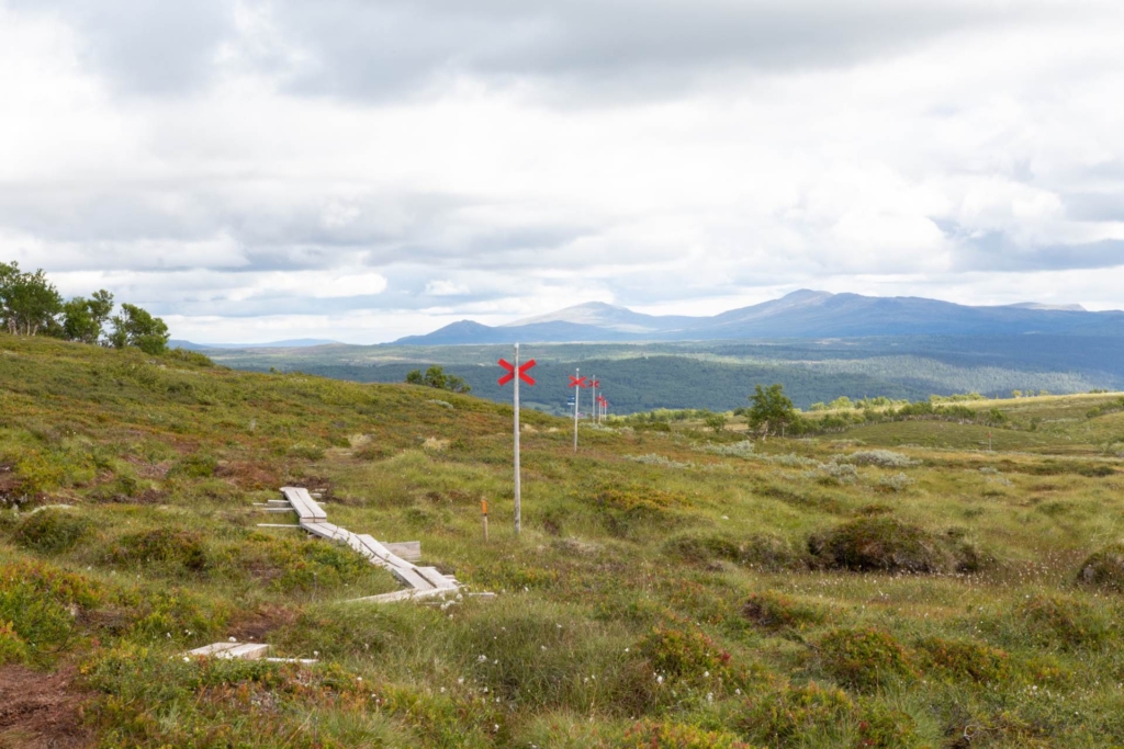 Charmig stuga på rymlig fjälltomt om hela 4600 kvm
