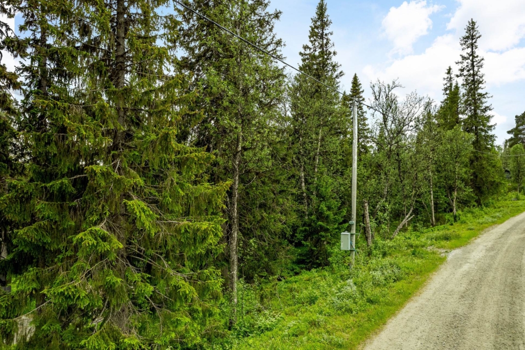 Rymlig och rofyllt belägen fjälltomt i Messlingen