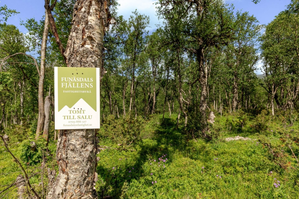 Bygg drömboendet med utsikt över Hamrafjället