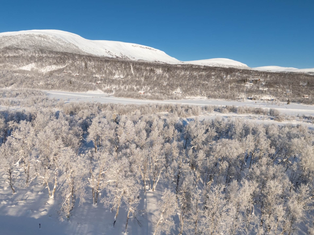 Bygg drömboendet med utsikt över Hamrafjället