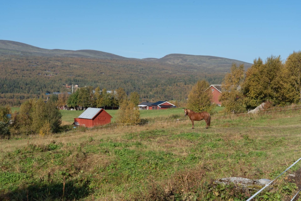 Charmig stuga på rymlig fjälltomt om hela 4600 kvm
