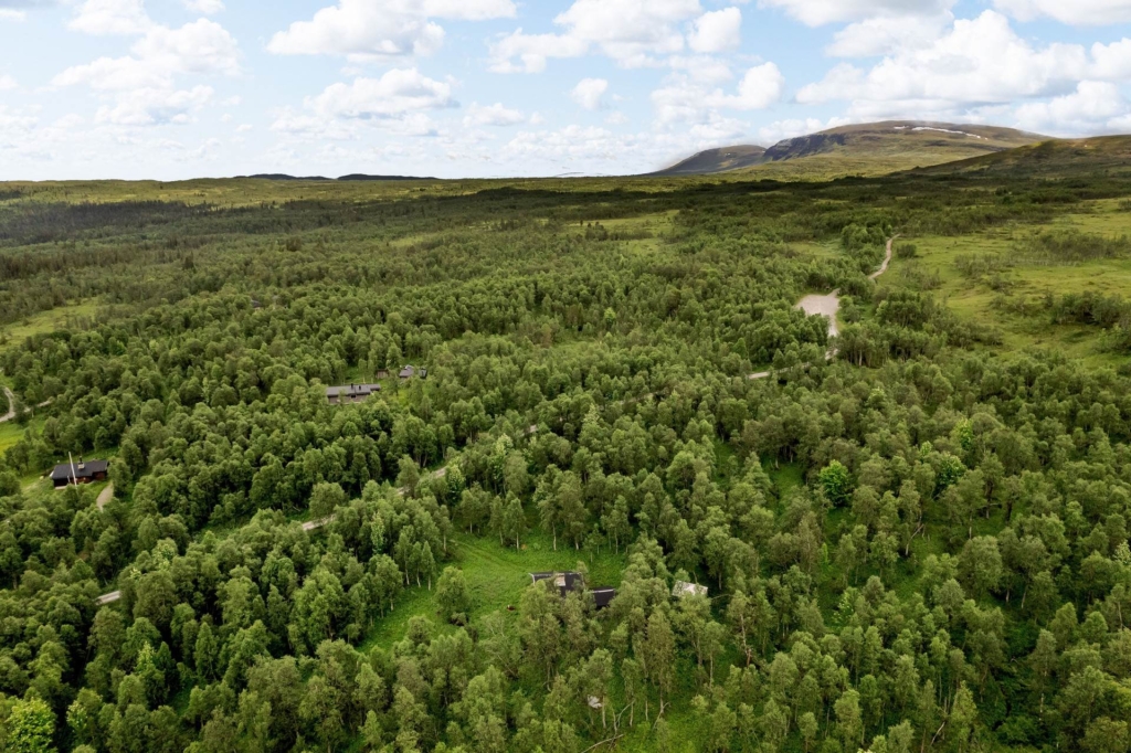 Charmig stuga på rymlig fjälltomt om hela 4600 kvm