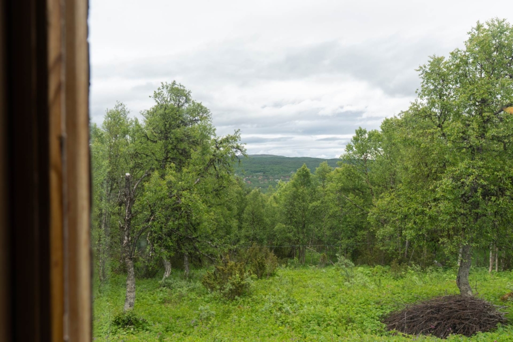 Charmig stuga på rymlig fjälltomt om hela 4600 kvm