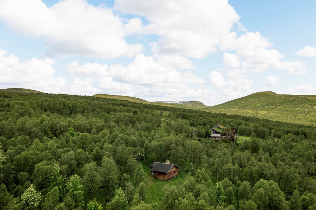 Charmig stuga på rymlig fjälltomt om hela 4600 kvm