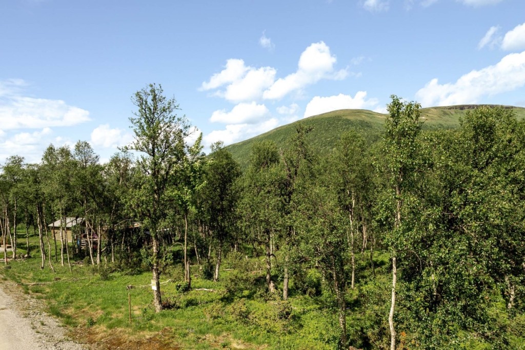 Bygg drömboendet med utsikt över Hamrafjället