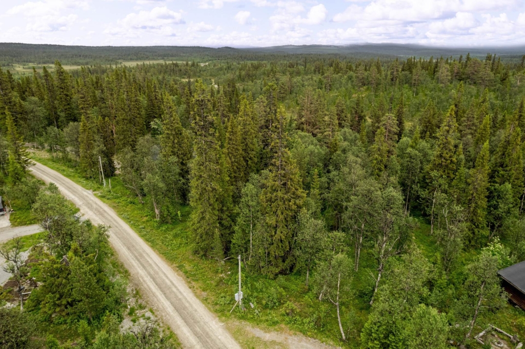 Rymlig och rofyllt belägen fjälltomt i Messlingen