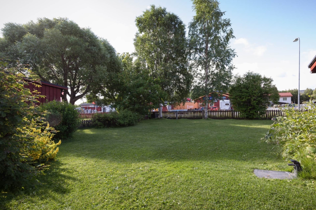 Trädgård (utan rubrik)