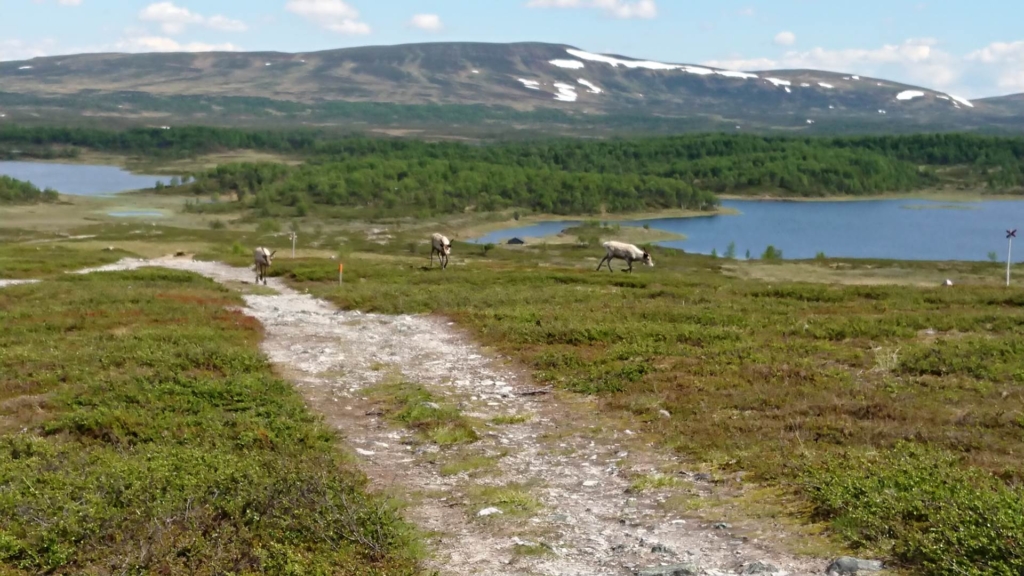 Ett eget fjällparadis att längta till