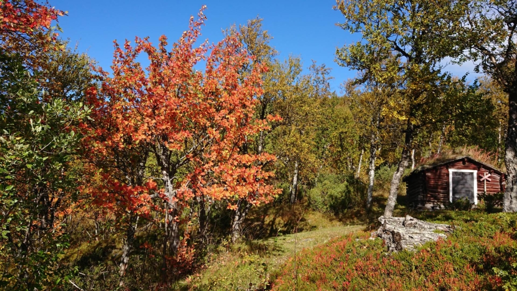 Ett eget fjällparadis att längta till