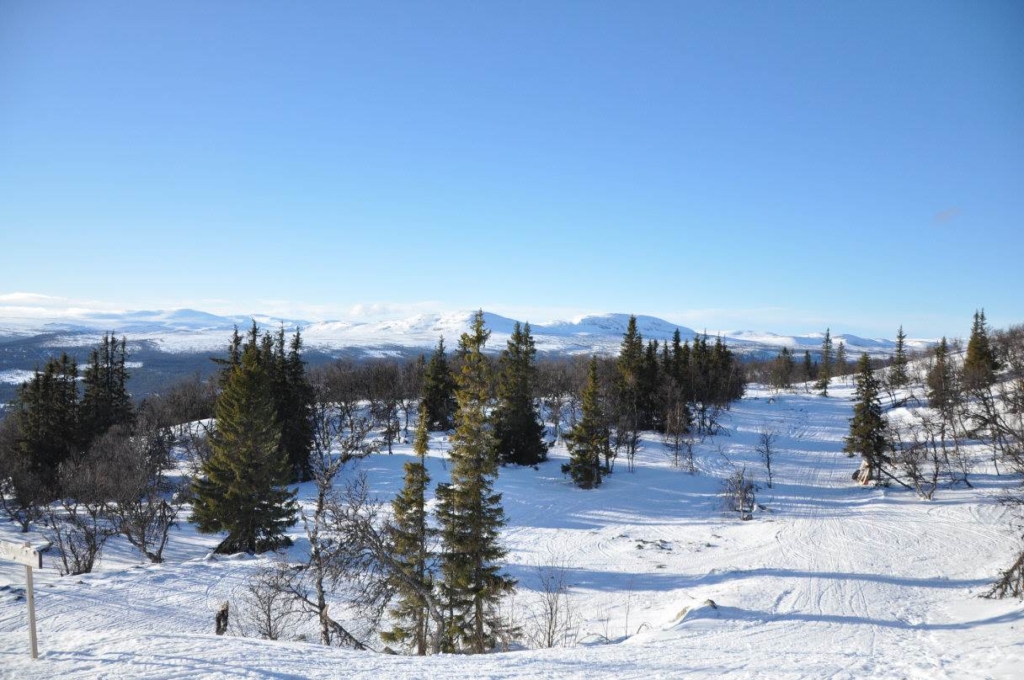 Funäsdalshöjden – Bekvämt och backnära boende i Funäsdalen by!