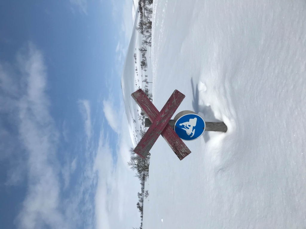 Fjällidyll på eftertraktade Åsvallen – med braskamin, söderläge och naturen runt knuten
