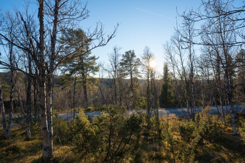 Charmig och unik fjällstuga med rundat tak – mitt i naturen nära Kappruet och Messlingen