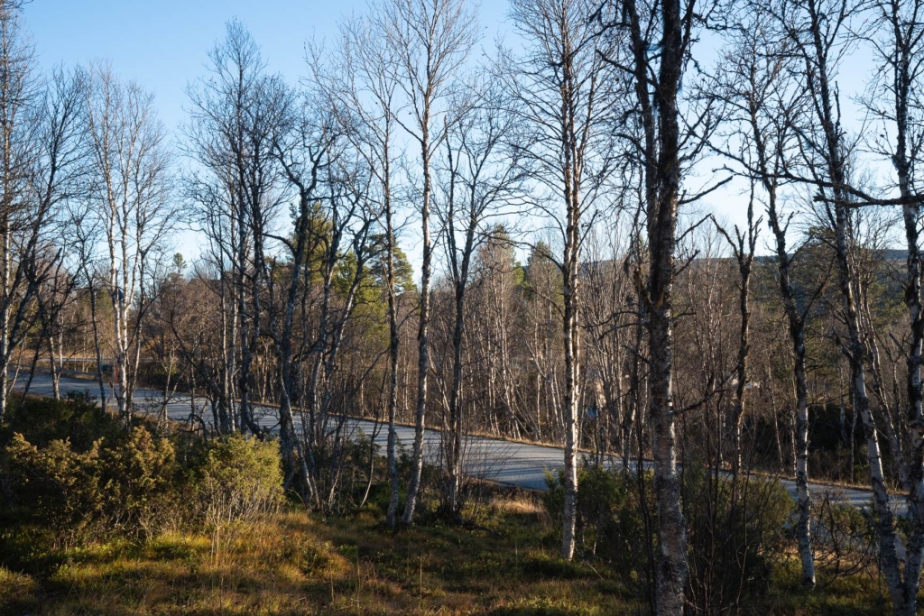 Charmig och unik fjällstuga med rundat tak – mitt i naturen nära Kappruet och Messlingen